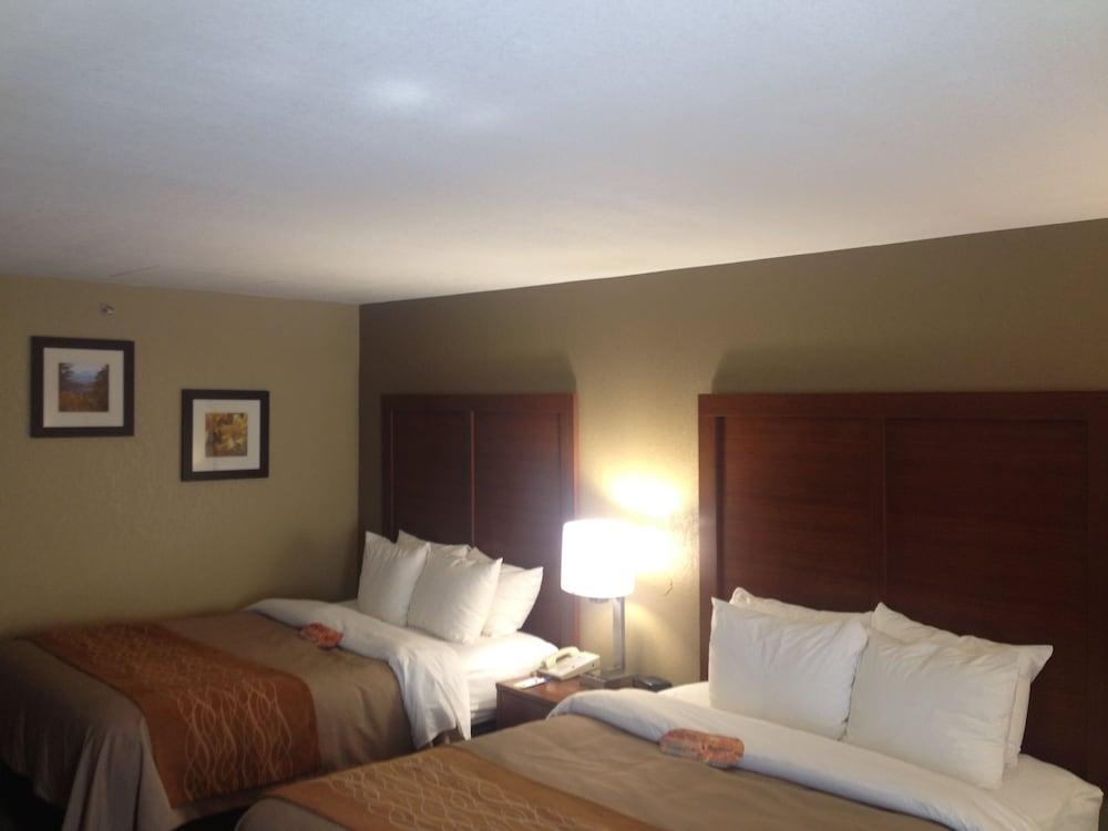 Comfort Inn Biltmore West Asheville Exteriör bild